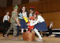 Festival kulturních programů